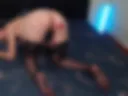 Dommy Lush Doggy