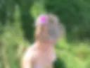 Nude driving car in Foret