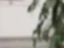 NASTY BLOWJOB