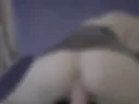 doggie hard