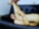 Sweet fuck