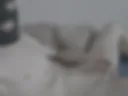 Jerking off in a mask