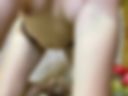 titties
