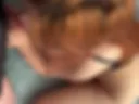Sweet little fox blowjob