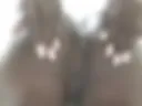 Loose pussy