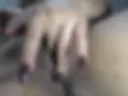 pussy with hungry