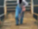 Nice video