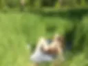 Playing with myself in a public place
