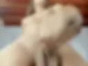 MY DICK IS HARD FROM TOUCHING ME SO MUCH