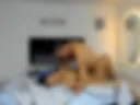 Suck dick fuck pussy hard