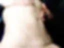 Hot