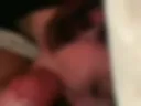 Blowjob sucking cock