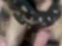 Blowjob