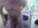 v zhopu 2