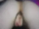 mesh