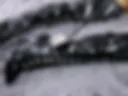 ariana hot