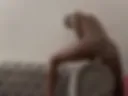 Anal