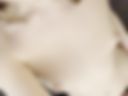 cum on yr mouth