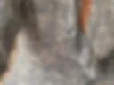 Fun