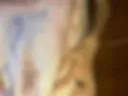 Dgfd