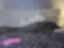 Pregnant anal, gape, fart