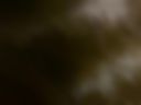 une bonne pipe avec mon regard de coquine