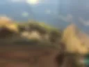 For those who love to peek