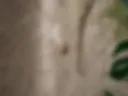 Having a shower and wishing you be here with me 🥵💦😈