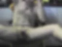 jerking off a dick