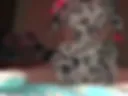 anal plug, masturbation, sex dance