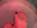 my feet