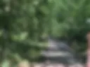 I'm jerking off in the forest