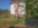 bikini land mowing