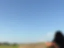 Wild and free