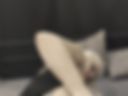In Doggy mit Fickmaschine
