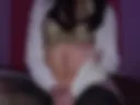 Nigt bestia