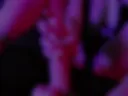 Footjob