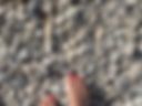 My feet