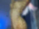 stand teased