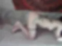 sex doggy style