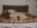 Playing with anal toys