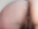 Foxy anal plug