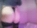 doggy