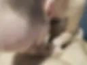 Verbal Bathouse Cocksucking