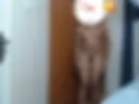 Nnnnn