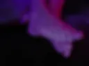 Foots in oil