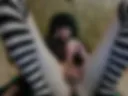EX EP04 Jerk off and cumming