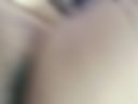 Chatte poilue
