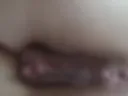 XoX