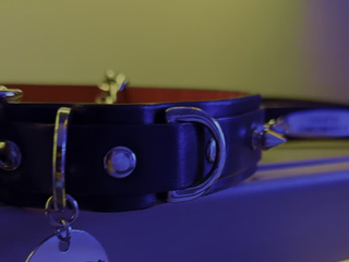 Mistress is recruiting a squad of PAYPGS